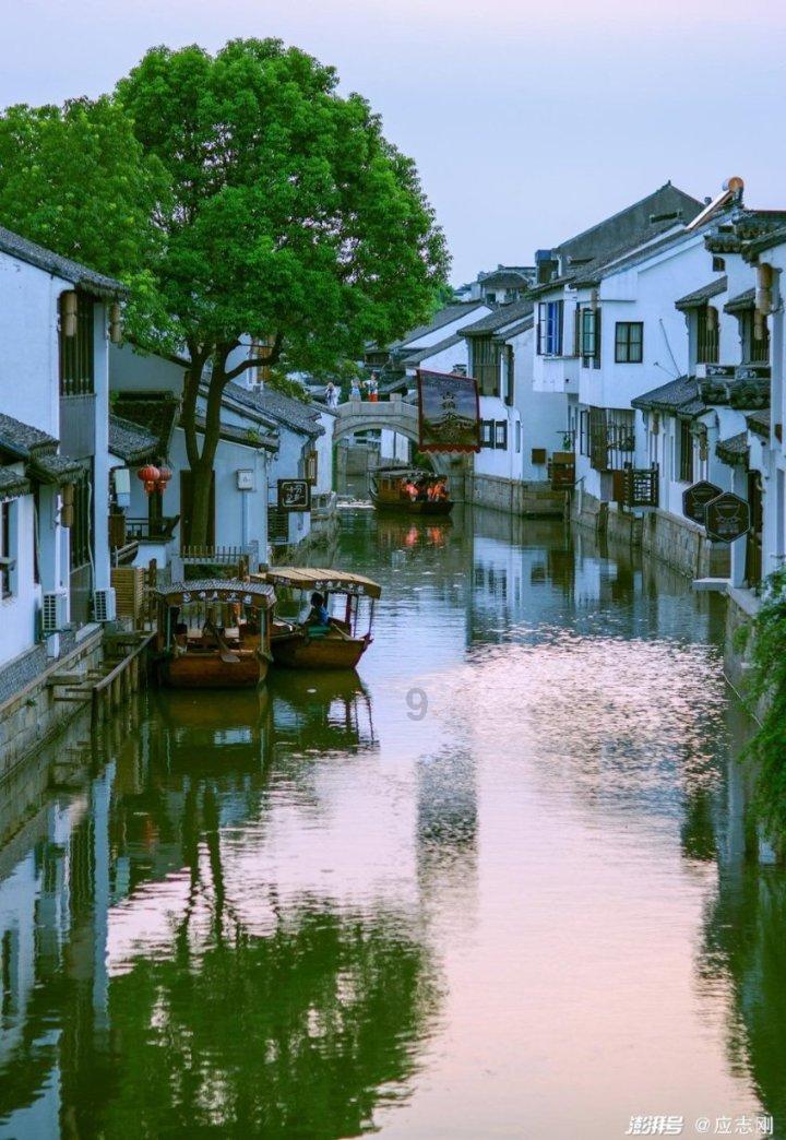 滚动的奶酪